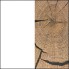 Alb Mat / Imitatie Lemn (2)