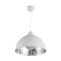 Lampa de tavan ANTENNE TS-071003P-WHSI Alb / Argintiu