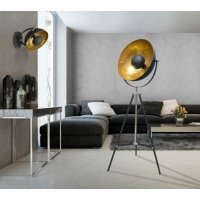 Lampadar ANTENNE TS-090522F-BK Negru / Auriu