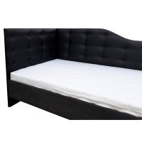 Pat Tapitat de Colt NEWTON 140 ST. Soft 11 / SNCZ