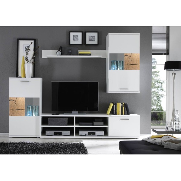 Biblioteca SPALT1-BI/DARD