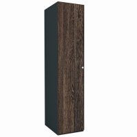 DULAP LEX 50-240-66 D GRI/DECOR 7648