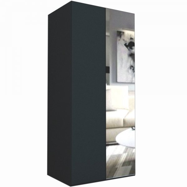 DULAP LEX 100-218-66 A GRI/DECOR 0164/OGLINDA