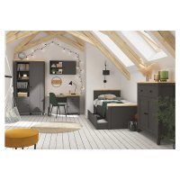 Birou HESEN BIU1D1S GF/DASN